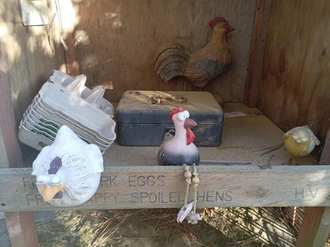 sark off licence chicken honesty stall