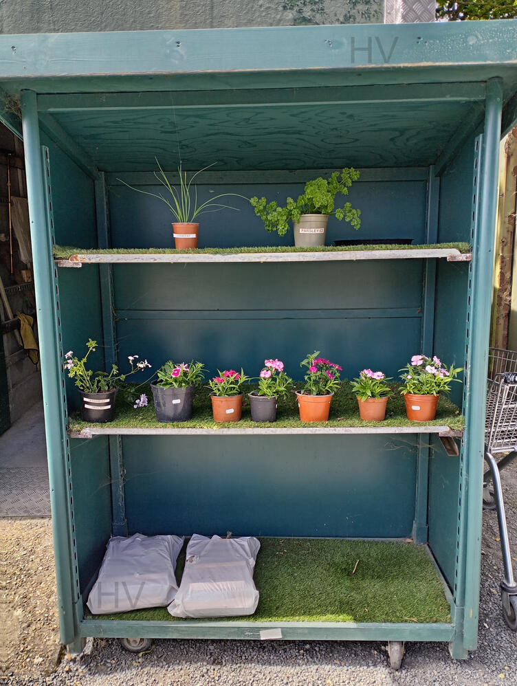 Honesty Farm Shop rows of potted plants and brindle. wooden shed surrounded by roses