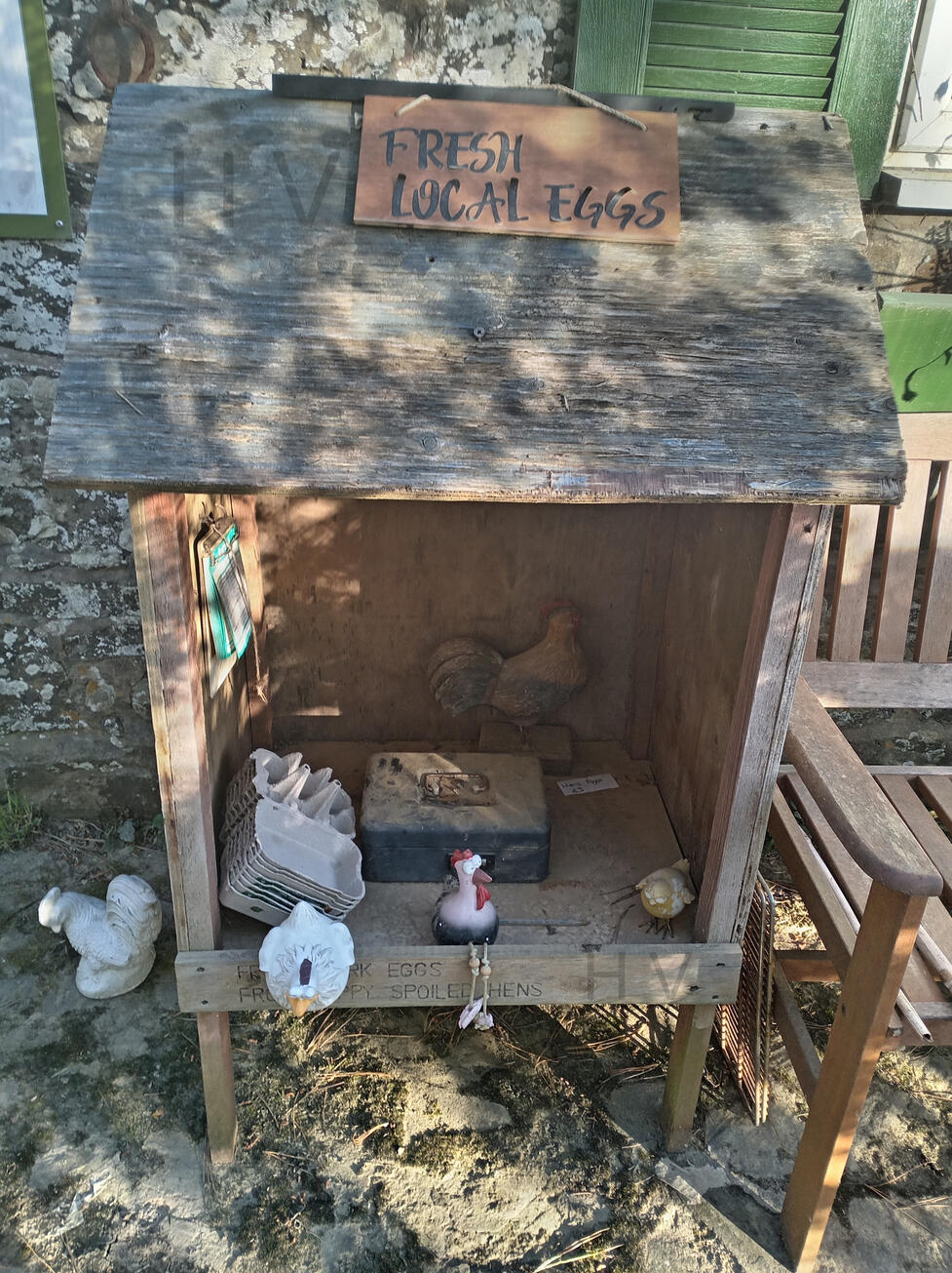 collection of happy chickens laying in an old hedge veg stall