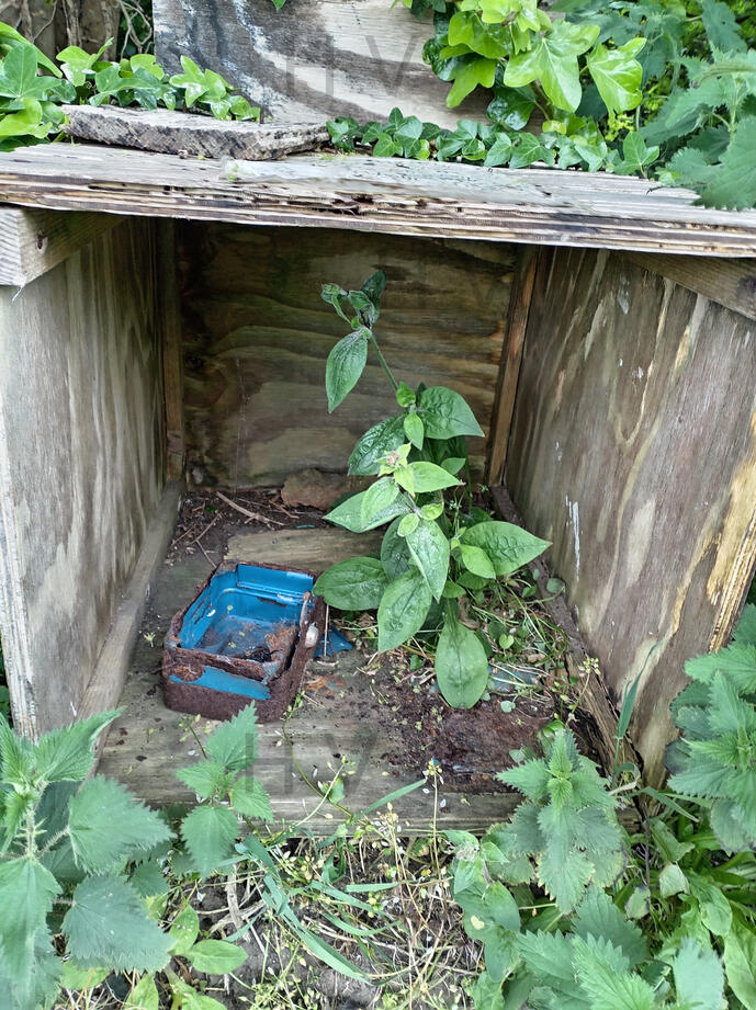 theremnants of an old wooden hedge veg stall.