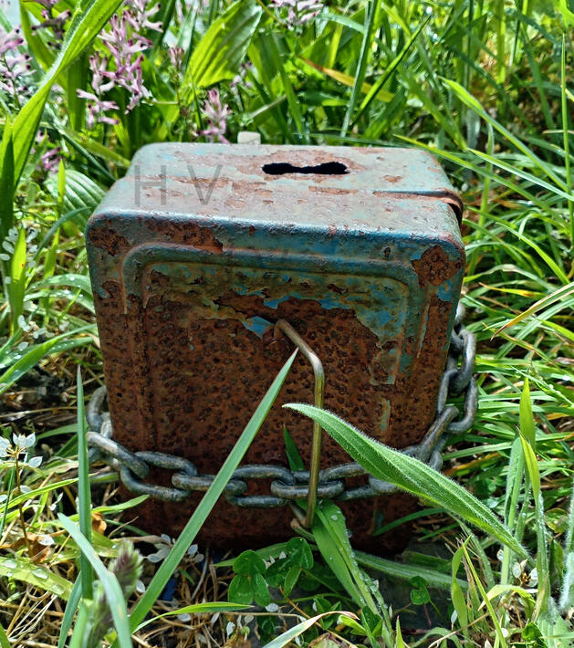 a blue rusted tin money box set in a hedge
