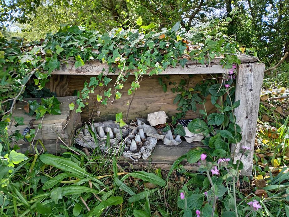 a collapsing stall given away to time.