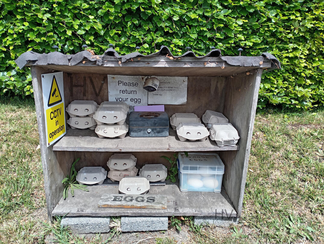 traditional honesty egg stall with eggs and egg cartons