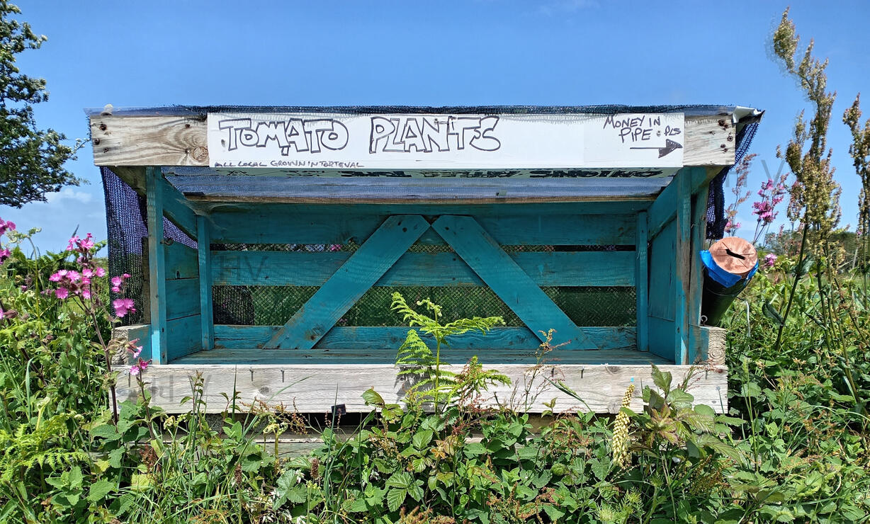 a wooden pallet hedge veg stall with a pipe for payment.