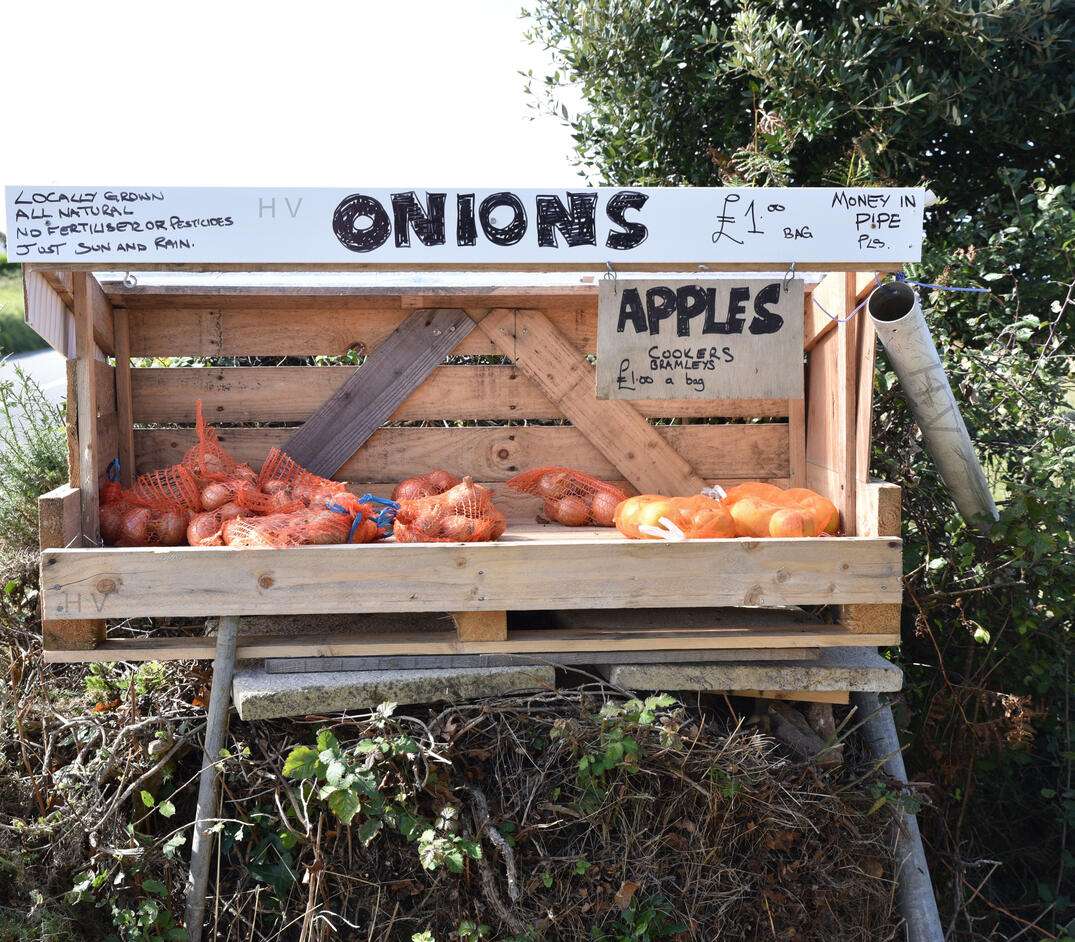 a wooden pallet honesty stall with signage and onions