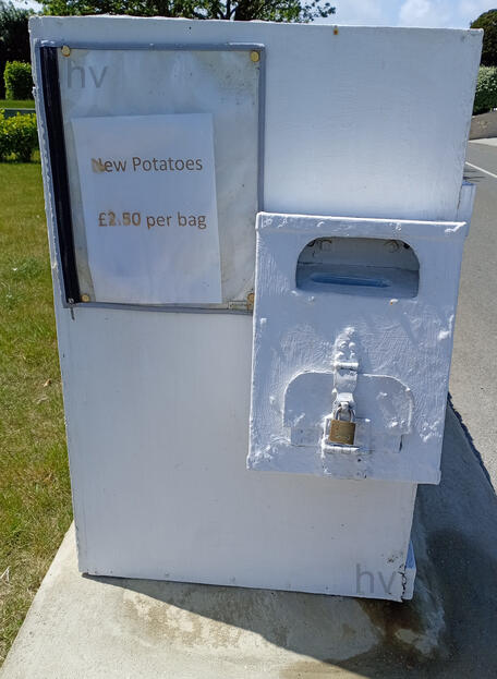 extra secure money box for farm stall. wooden shed surrounded by roses