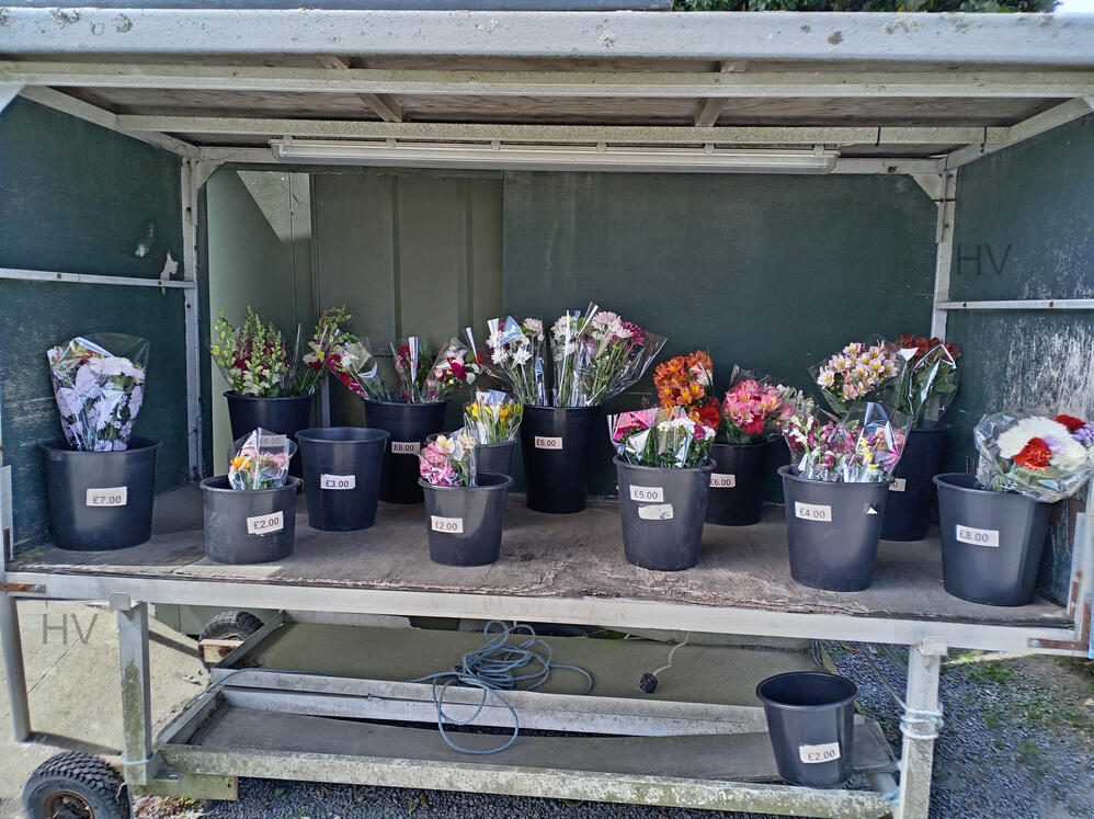 Honesty Farm Shop trailer with bouquets of flowers in buckets. wooden shed surrounded by roses