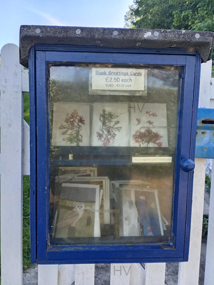 craft in a gate honesty stall. wooden shed surrounded by roses