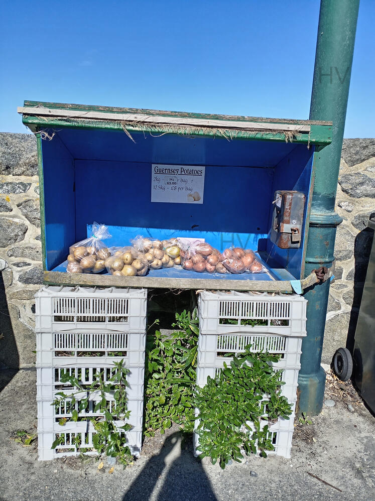 road side plants for sale. Drop money in letter box. wooden shed surrounded by roses