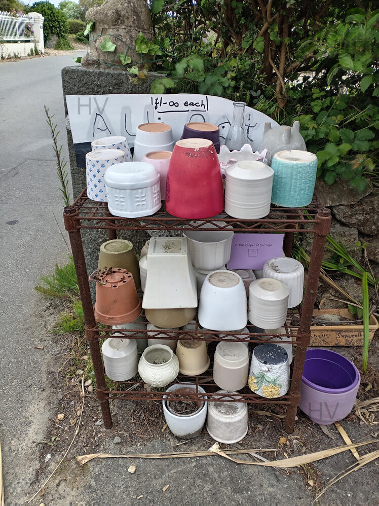 road side plants for sale. Drop money in letter box. wooden shed surrounded by roses